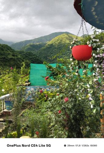 a view of a garden with flowers and a red basket at Enjoy Nature at Yamuna Valley Stay in Kandi