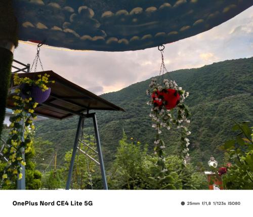 a bunch of flowers hanging from a gazebo at Enjoy Nature at Yamuna Valley Stay in Kandi