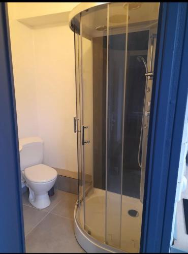 Un baño con inodoro y ducha de cristal. en T2 rénové proche métro, en Lille