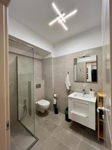 un bagno con wc, lavandino e doccia di Studio Park Residence Apartment a Râmnicu Vâlcea