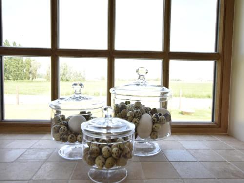 Φωτογραφία από το άλμπουμ του Beautiful Holiday Home with Terrace, Garden σε Diksmuide