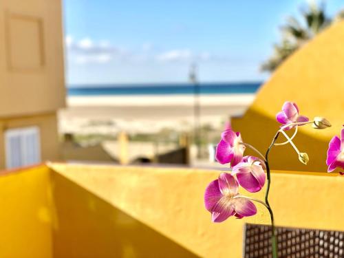 Apartamento Tortuga Carey