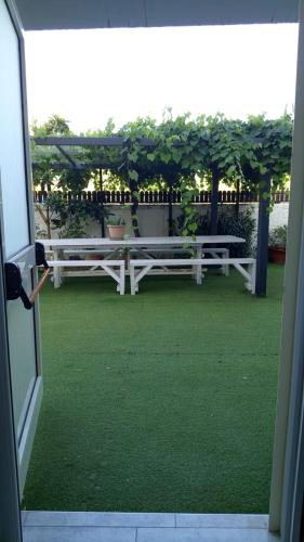 two white benches in a yard with green grass at Palazzo ReSilente- B&B dell'Infopoint in Castelnuovo Cilento