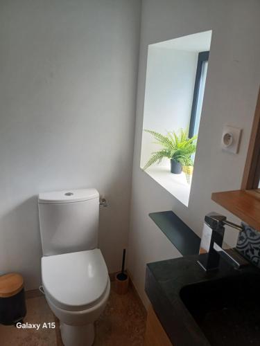 Kuchyň nebo kuchyňský kout v ubytování Maisonnette centre ville avec patio