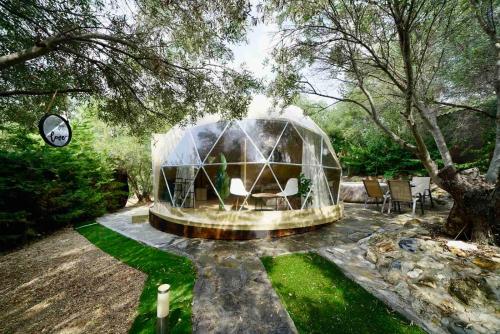 Olive Domes
