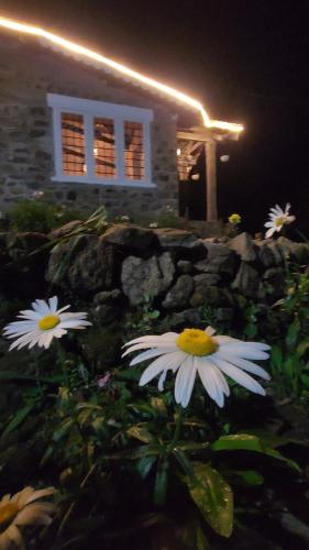 a group of white flowers in front of a house at Springdale Villa in Kodaikānāl