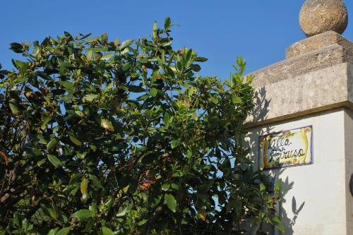 Φωτογραφία από το άλμπουμ του La Petrusa σε Vernole