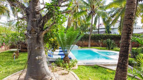 Bazén v ubytování Parrot Bay Watamu nebo v jeho okolí
