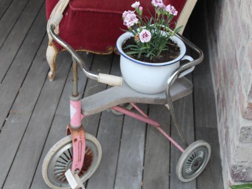 a pink cart with a potted plant on it at Wonderful country house with huge garden in Roesbrugge-Haringe