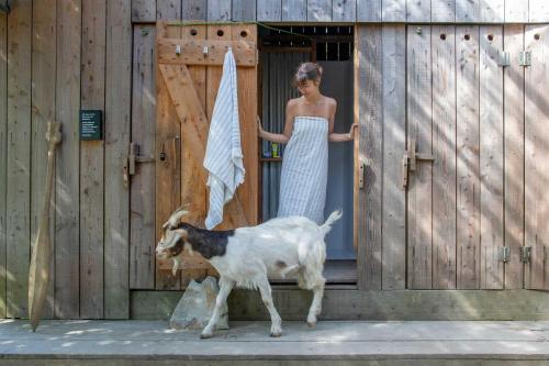 a woman standing in a doorway with a goat at Kudhva 4 in Treknow