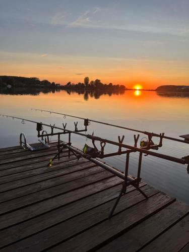 Békafütty Vendégház