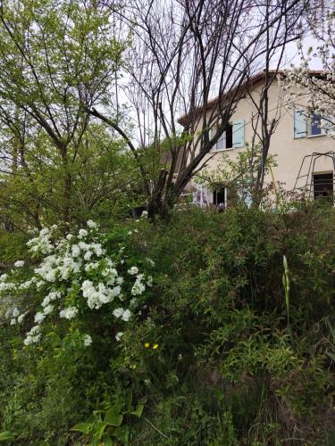 a house on top of a hill with white flowers at CHAMBRE PRIVEE chez l'HABITANT SALLE d'eau WC Privatifs in La Saulce