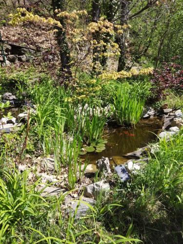 a garden with a pond and some plants at CHAMBRE PRIVEE chez l'HABITANT SALLE d'eau WC Privatifs in La Saulce