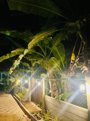 a fence in front of a tree at night at Udawalawa Eco Lodge in Udawalawe