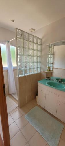 a bathroom with a sink and a mirror at spacious villa in Saint-Vivien-de-Médoc