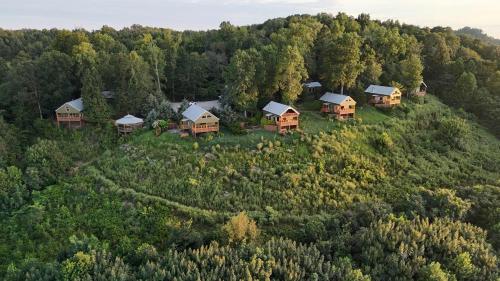 an aerial view of a house in a forest at Fish Tales Cabin with a private hot tub in Bryant