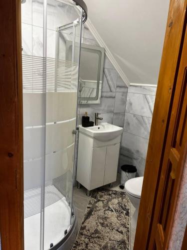 a bathroom with a shower and a sink and a toilet at Шепіт води in Yasinya