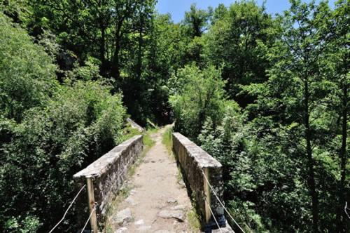 a bridge in the middle of a forest with trees at MIRUTT Relax by Keyhole Selection in Castelmezzano