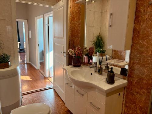 a bathroom with a sink and a large mirror at Charming apartment Nygårdsparken in Bergen
