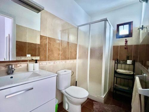 een badkamer met toilet, wastafel en douche bij Apartamentos Magdalena in Valle Gran Rey