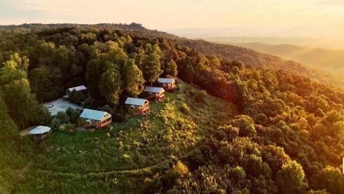 an aerial view of a group of camels in a forest at Hoot Owl with a private hot tub in Bryant