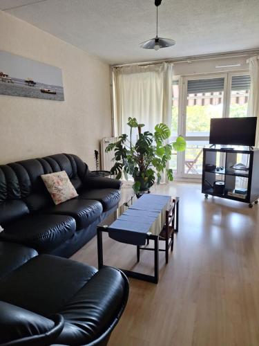Appartement T3 GEO ANDRE