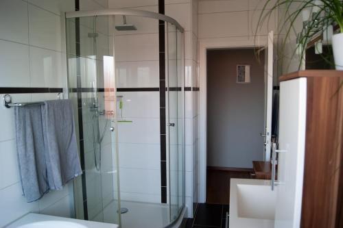 a bathroom with a glass shower and a sink at Schöne, große Wohnung mit 3 Betten in Bramsche
