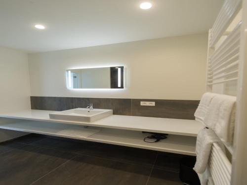 a bathroom with a sink and a mirror at Lovely holiday home 'Walleken' with a pond in Eekhout
