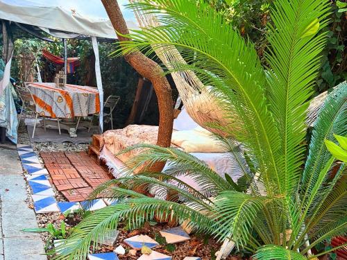 a palm tree next to a tent with a table at Penelope B&B in Palermo
