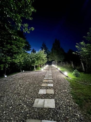 Gambar di galeri bagi Roua Chalet di Nemţişor