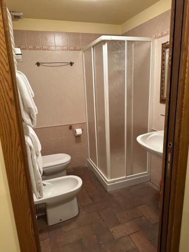 a bathroom with a shower and a toilet and a sink at La Casina di Pinutte in Campagnatico