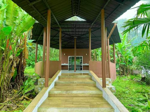 a walkway leading to a building in a forest at Forest 15 min from Manta Beach in Pacoche
