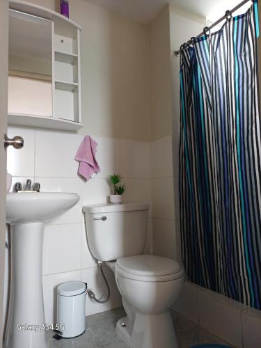 une salle de bain avec toilettes et rideau de douche dans l'établissement Cómodo departamento familiar, à Lima