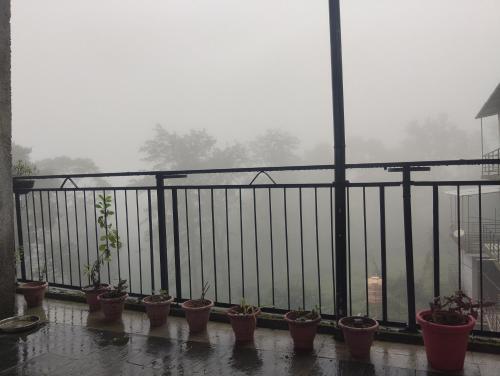 Fotografie z fotogalerie ubytování Warrior Homesaty And Cafe Chugan Bir v destinaci Baijnāth