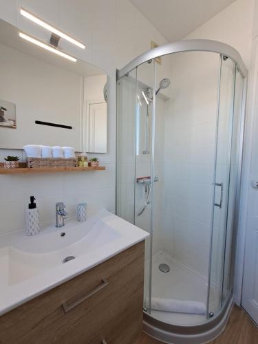 a bathroom with a shower and a white sink at Le 84bis, maison, proche gare, parking, Netflix in Laval