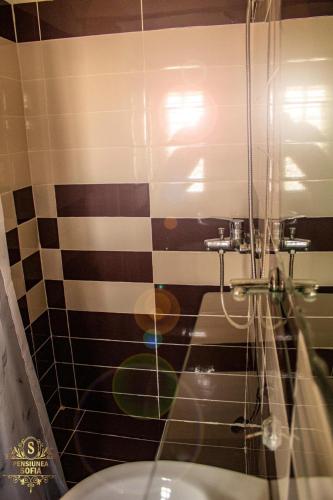ein Badezimmer mit Dusche, Waschbecken und Toilette in der Unterkunft Casa Sofia in Murighiol