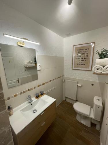 a bathroom with a sink and a toilet and a mirror at Les Rocailles in Lamonzie-Montastruc