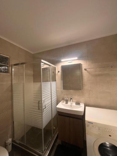 a bathroom with a shower and a sink and a toilet at Ήρεμο σπίτι casa puente in Stenón