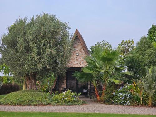 a cottage with a palm tree and a garden at oasis de paix in Aït Amara