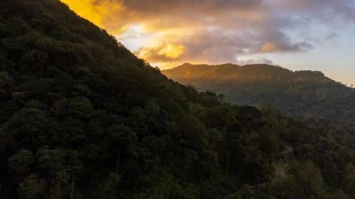 auliculiculiculiculiculiculiculiculiculiculiculiculiculiculic at Seven Springs Plantation Resort in Munnar