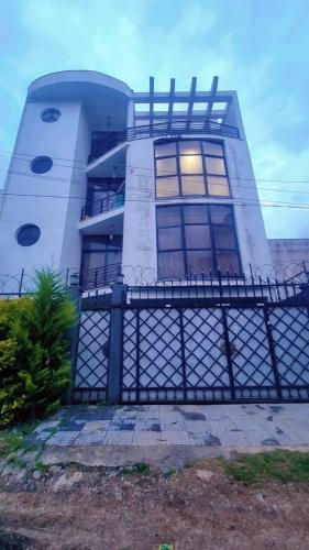 Hawi Studio