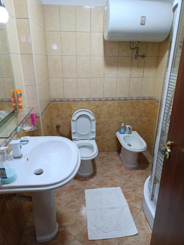 a bathroom with a sink and a toilet at Aldo's apartments in Pogradec