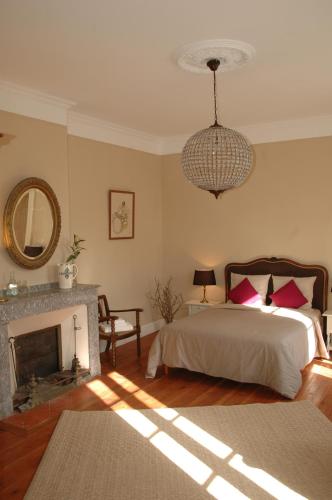- une chambre avec un lit, une cheminée et un lustre dans l'établissement Domaine de la Célarié, à Mouzieys-Teulet