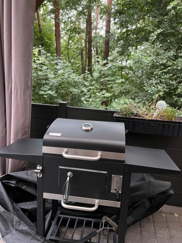a grill sitting on top of a table with plants at Domek na Morenowym Wzgórzu, nad jeziorem in Mierzyn