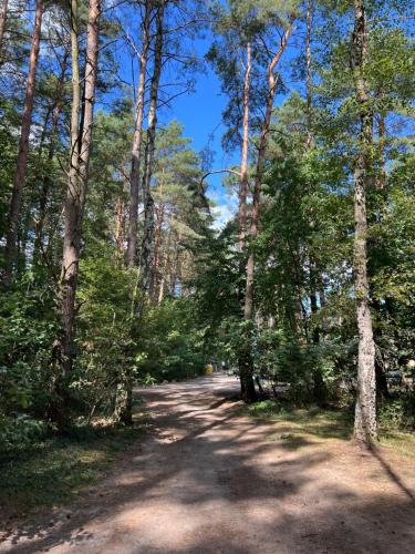 a dirt road in the middle of a forest at Domek na Morenowym Wzgórzu, nad jeziorem in Mierzyn