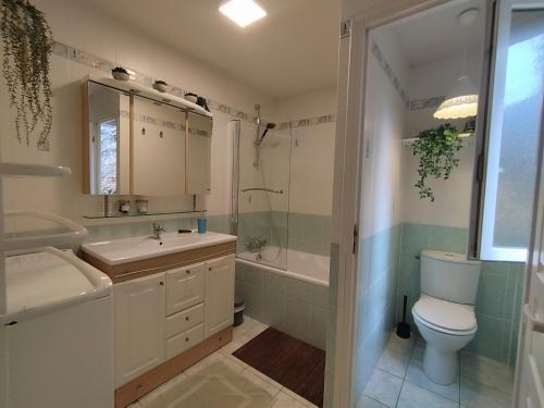 Un baño con lavabo, inodoro y ducha. en Par Saint Georges !, en Cahors