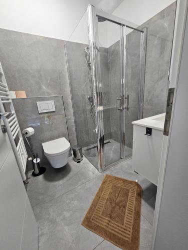 a bathroom with a shower and a toilet and a sink at Villa Carpe Diem in Vantačići