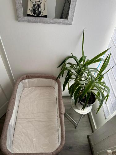 a bedroom with a bed and a potted plant at M Apartman in Foča
