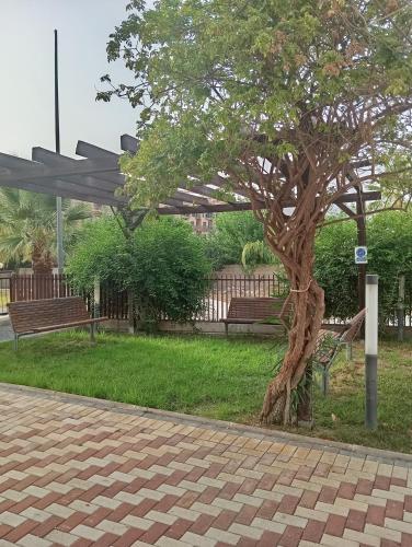 a tree in a park next to two benches at Atico de lujo con jacuzzi, piscina y gimnasio cerca de Balneario de Archena in Villanueva de Río Segura