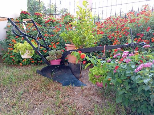 a flower garden with potted plants on a cart at Olive Villa Crete in Rethymno Town